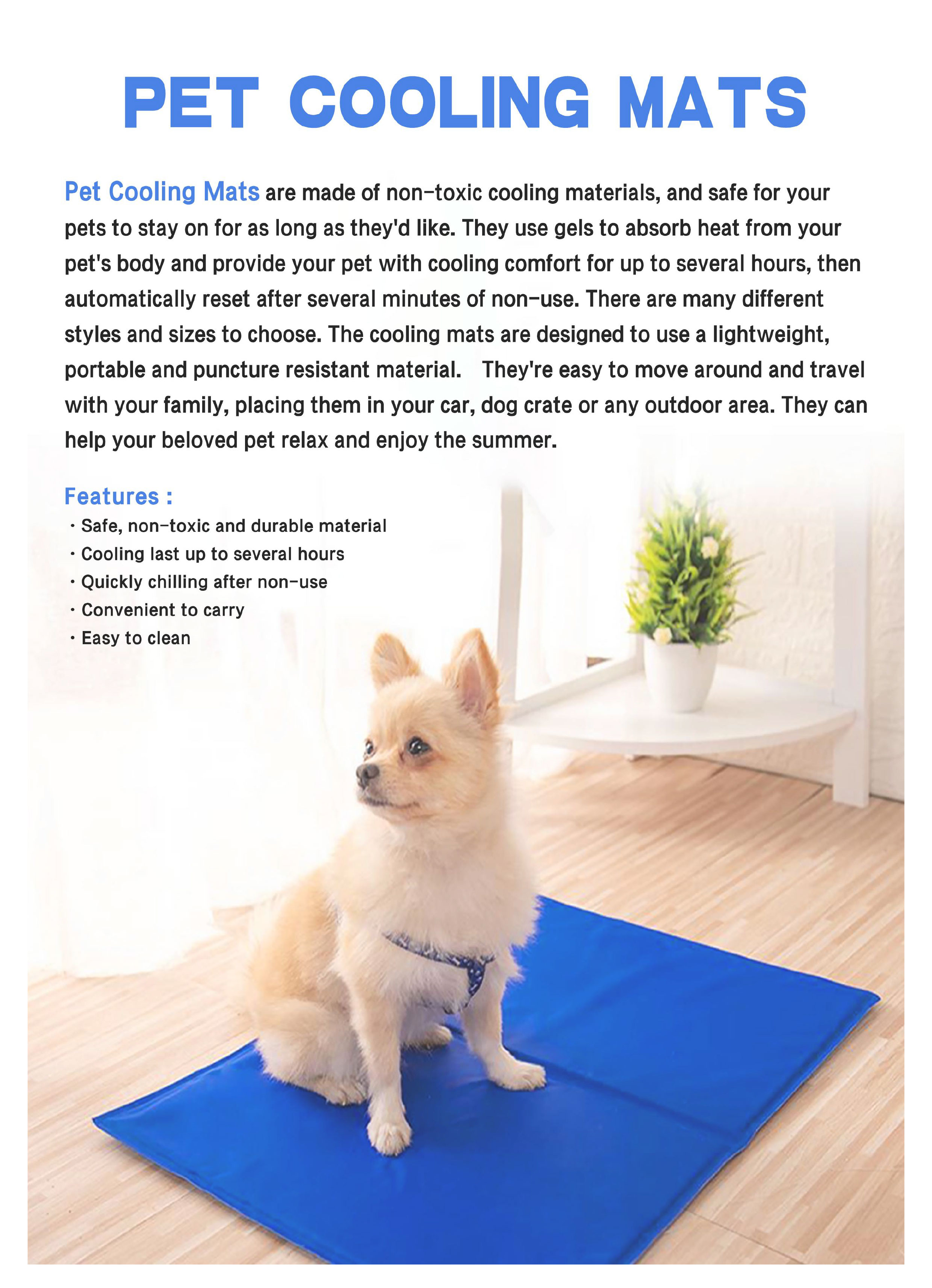 image013(001) image013(001)